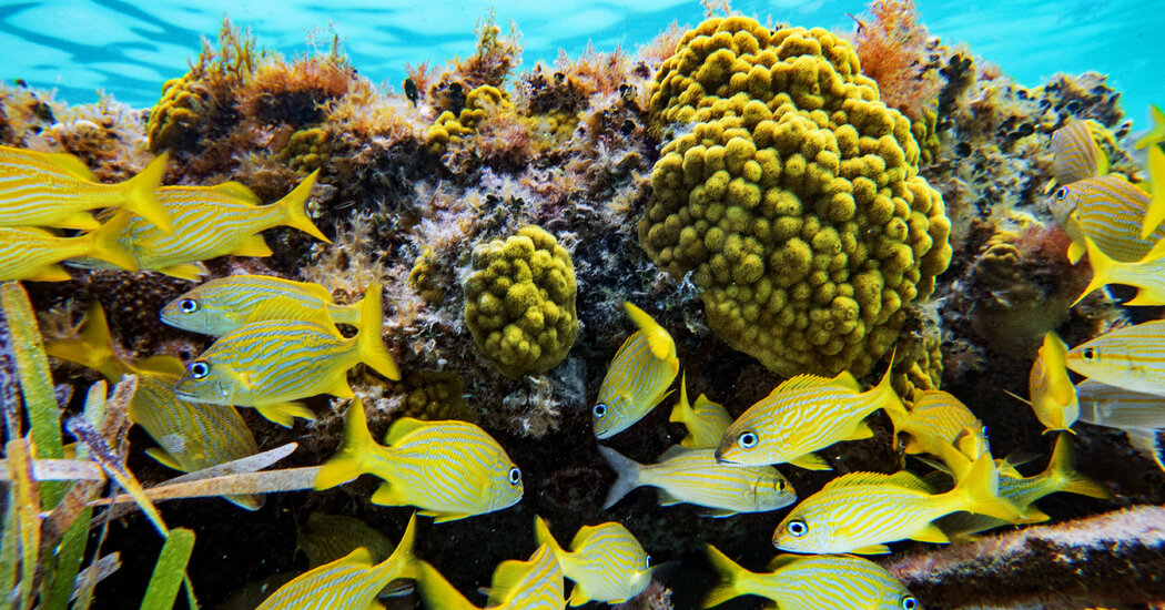 A 36-Hour Adventure of Must-See Attractions – Mirror Brief